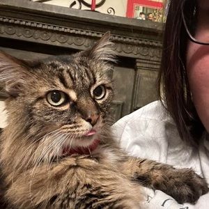 Meet your Posher, Jocelyn